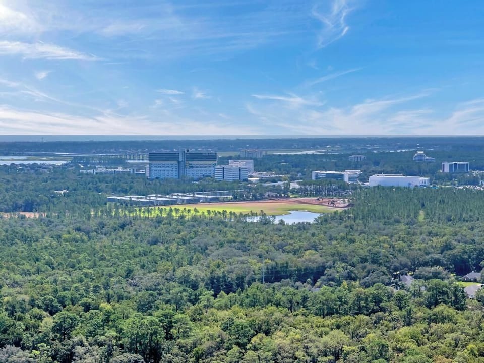 Scenic aerial view of greenery stretching out to the horizon