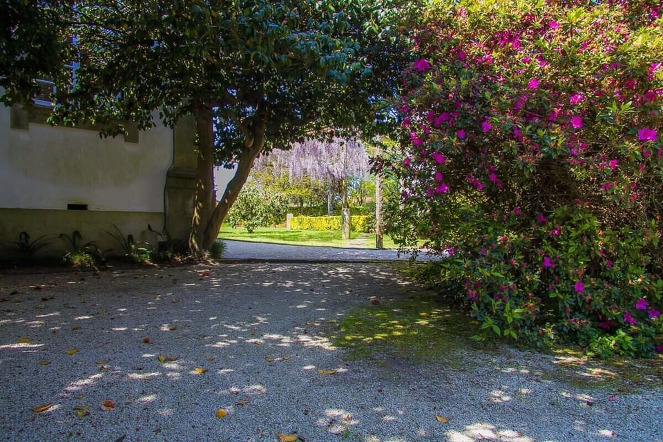 House | 5 bedrooms, high-speed internet