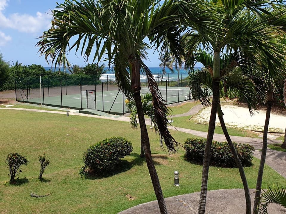 Sport court