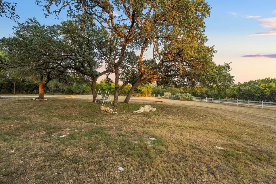 Front Yard w/ Swing