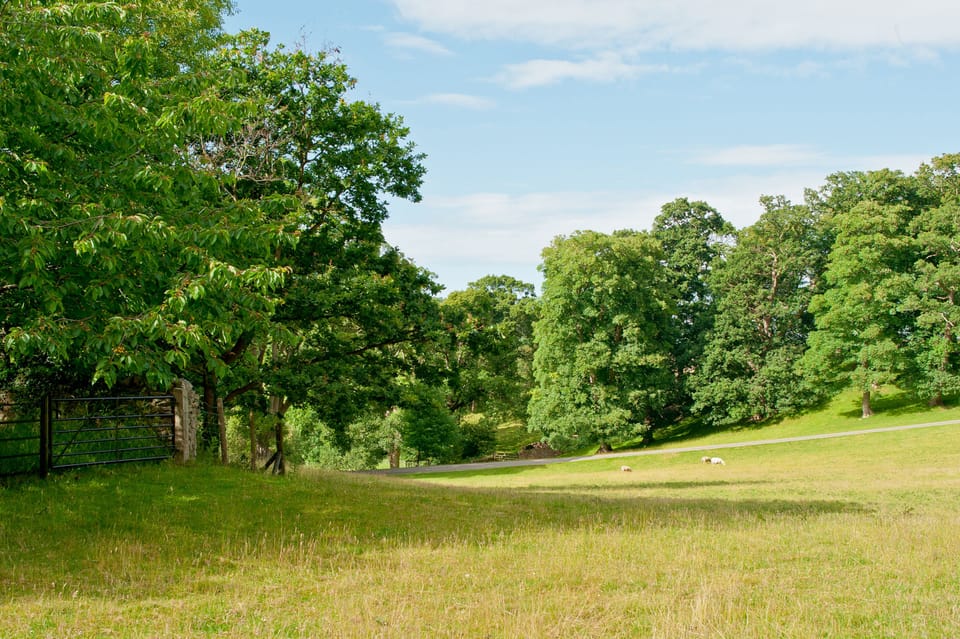 Superior Cottage | View from room