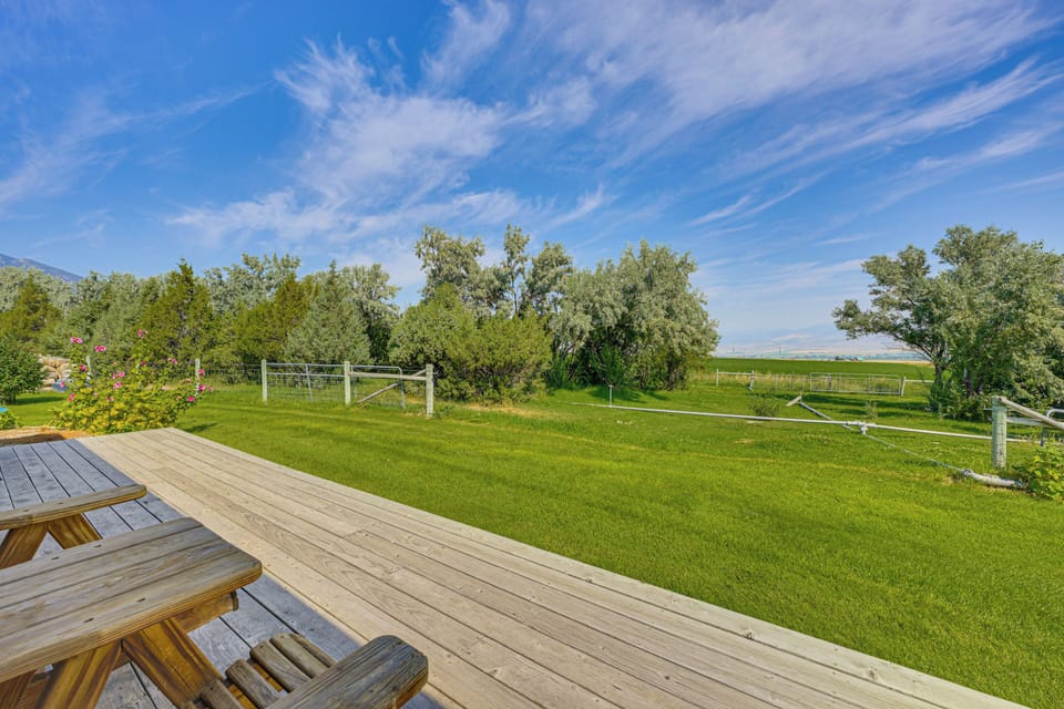 Deck | Gas Grill