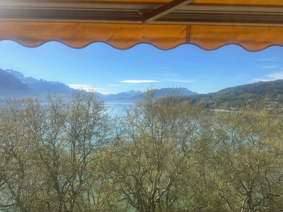 View from property