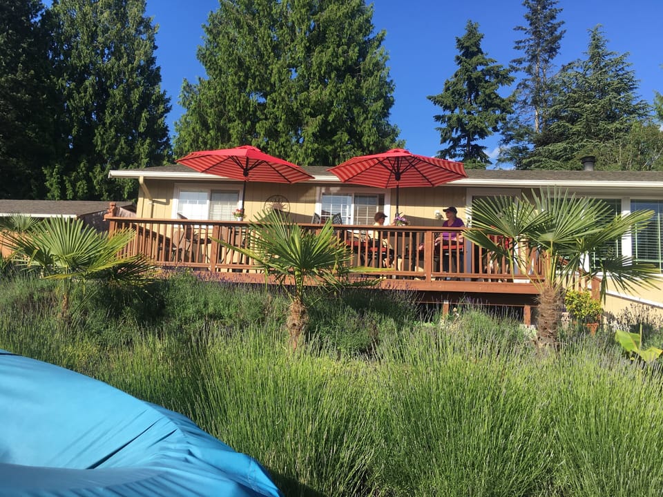 Front deck, enjoy the lake view and the Island neighbors
