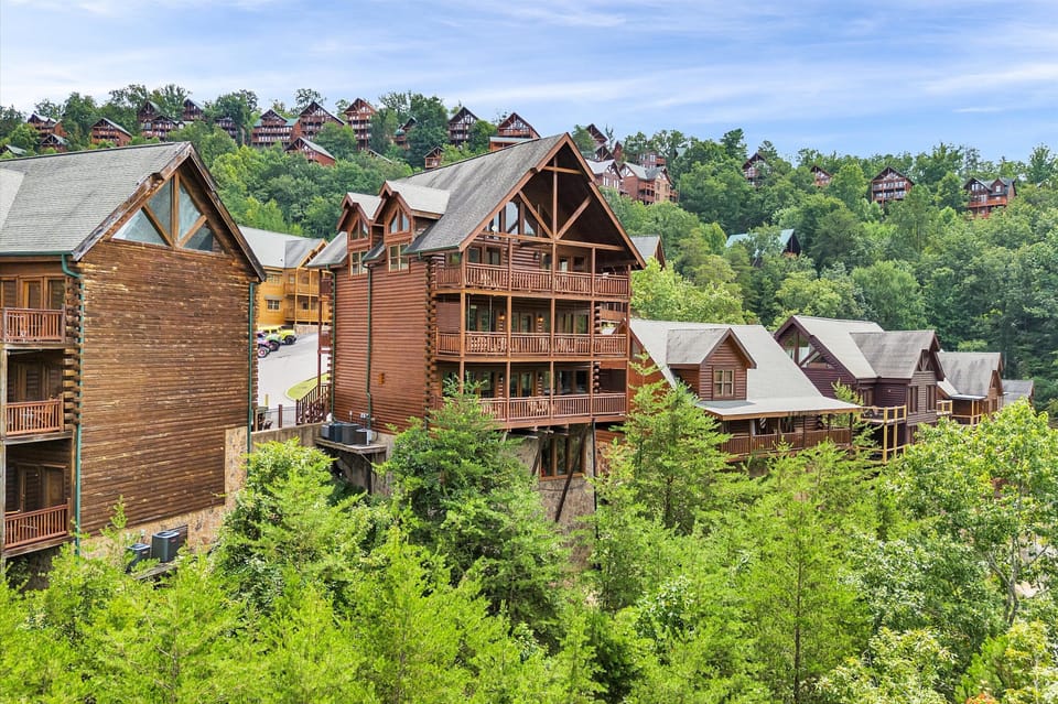 Fresh Smoky Mountain air all around 🌿