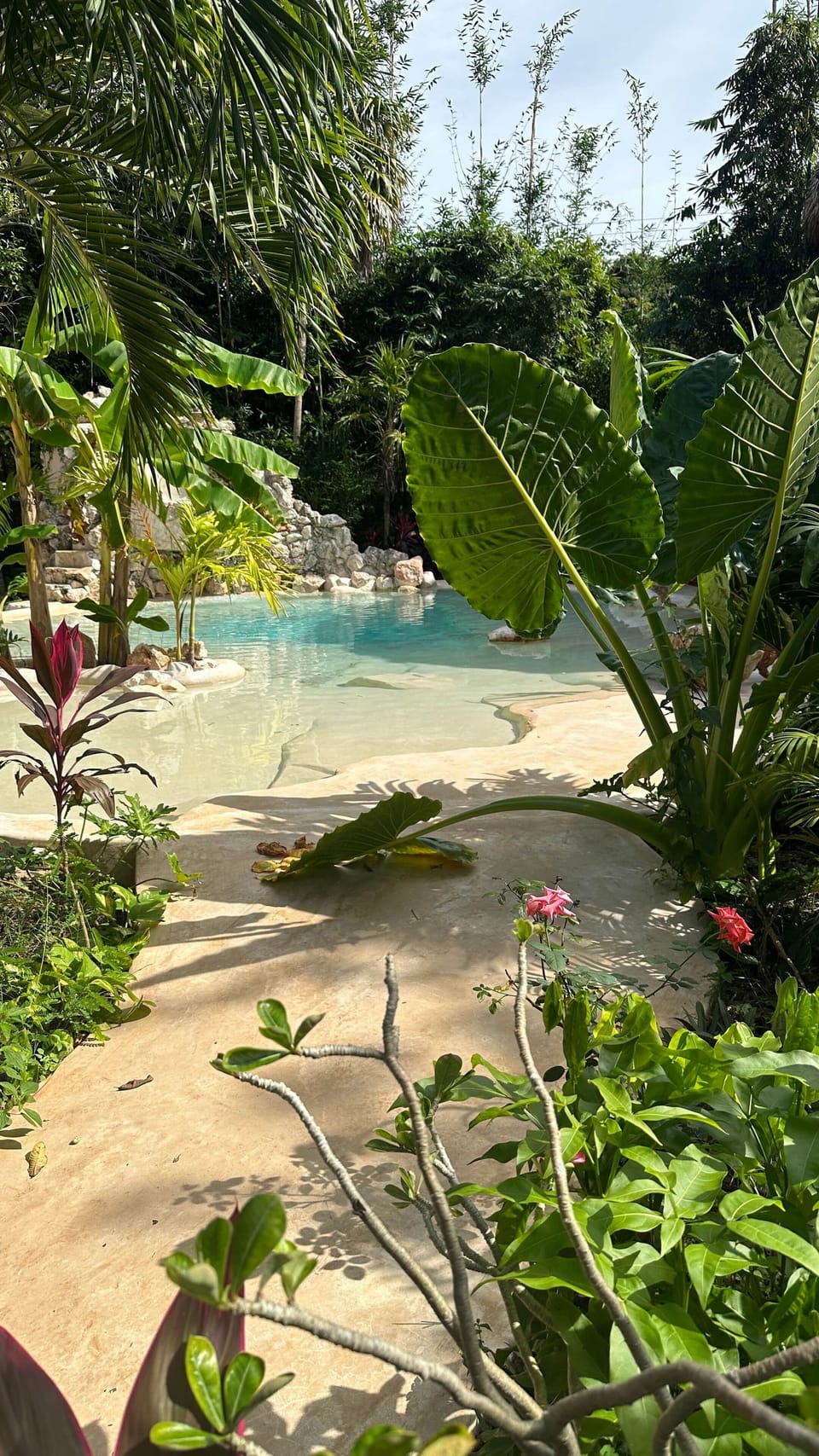 Cenote-type pool