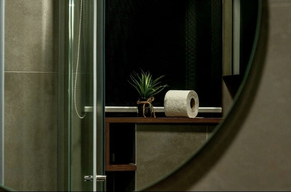 Apartment | Bathroom | Shower, hair dryer, towels, soap
