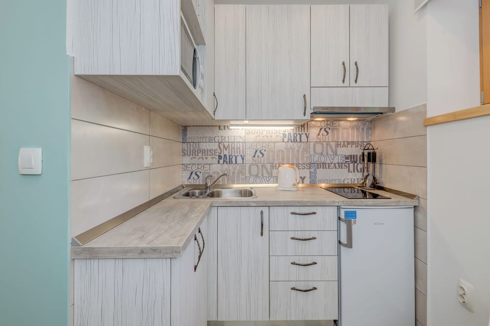 Studio | Private kitchen | Mini-fridge, microwave, stovetop, electric kettle