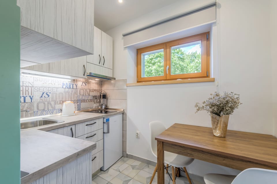 Studio | Private kitchen | Mini-fridge, microwave, stovetop, electric kettle