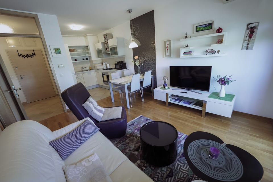 Apartment | Living area | 30-inch flat-screen TV with cable channels