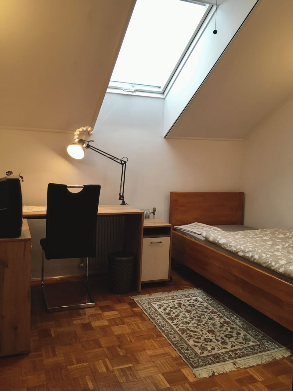 Single Room, Garden View | Soundproofing, free WiFi