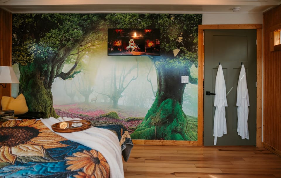 Studio, Accessible | 1 bedroom