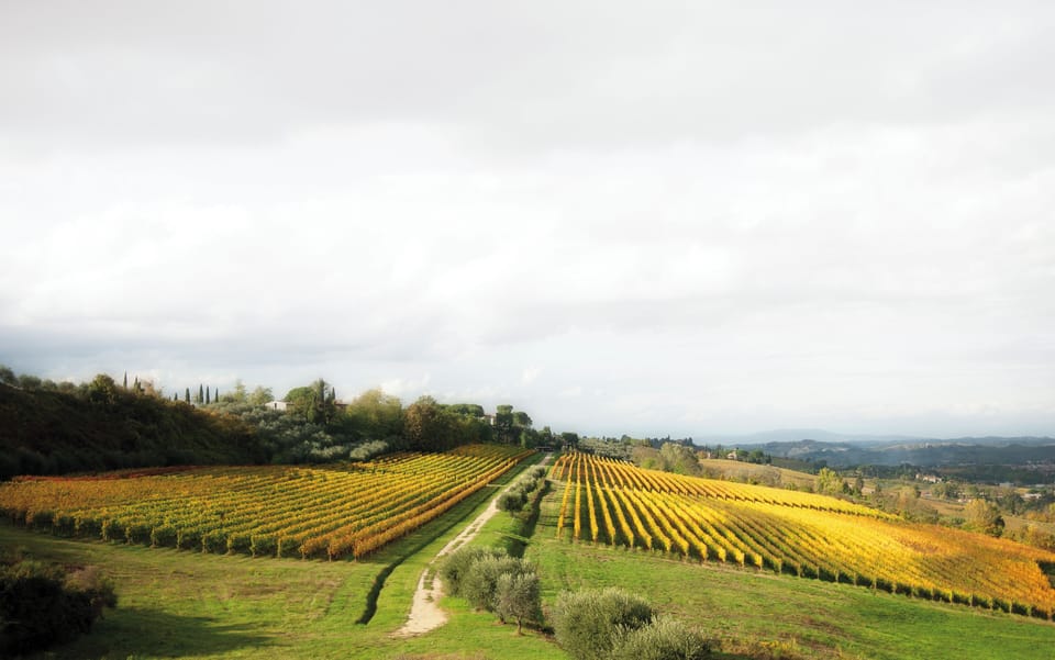 Winery
