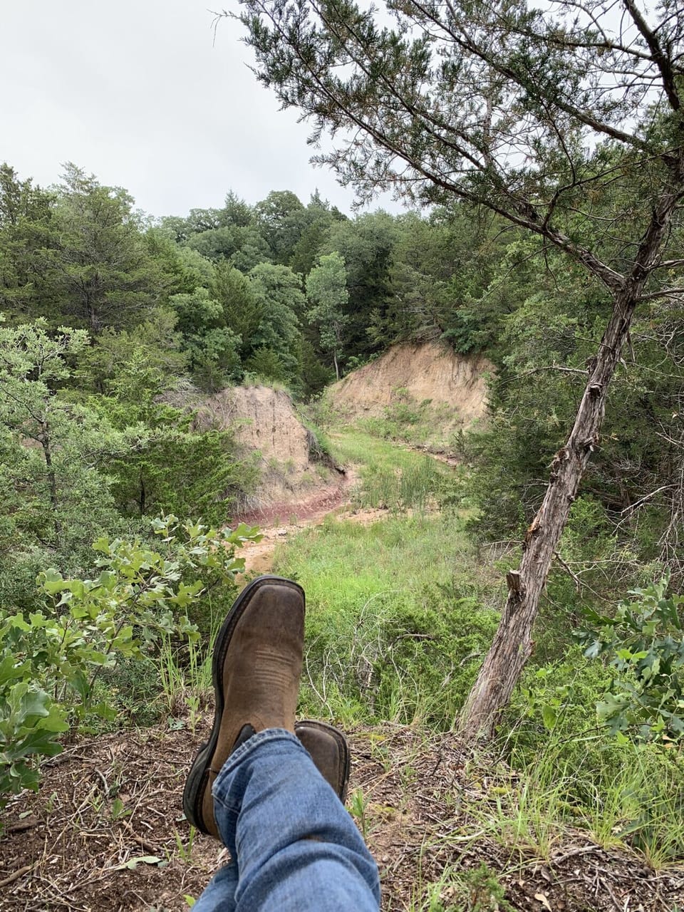 Nature