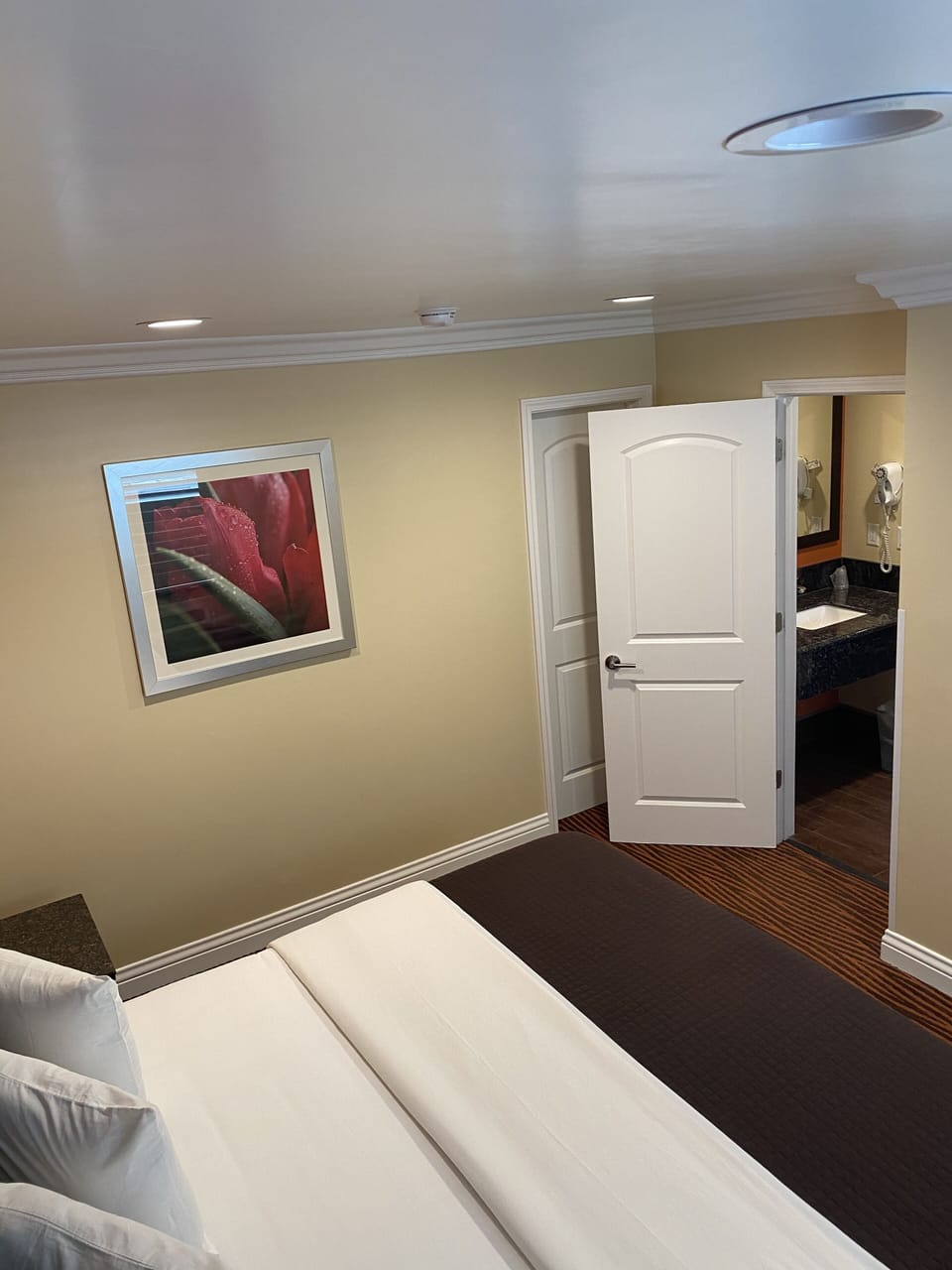 Desk, soundproofing, iron/ironing board, free WiFi