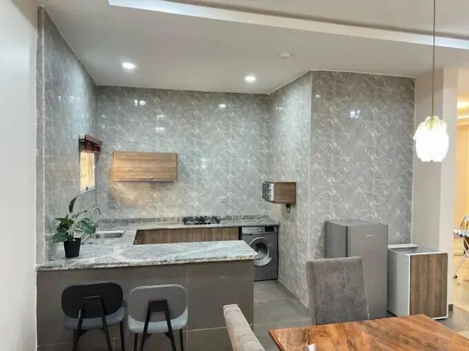 Family Apartment, Balcony, City View | Private kitchenette | Fridge, microwave, oven, stovetop