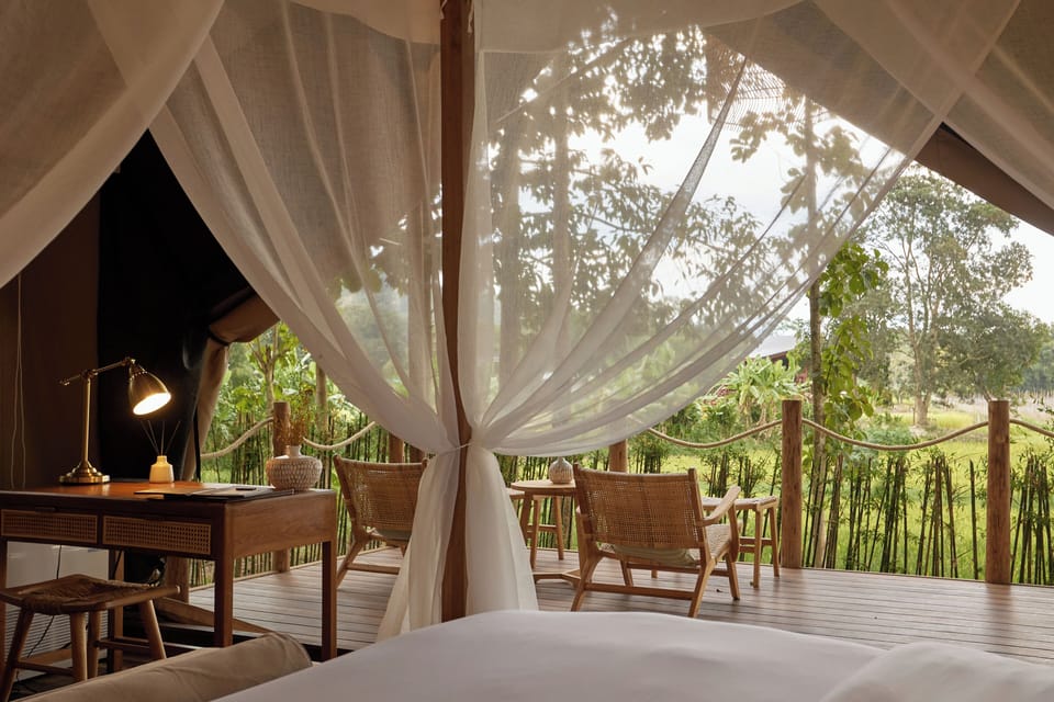 Canopy Tented Studio | Free WiFi, bed sheets