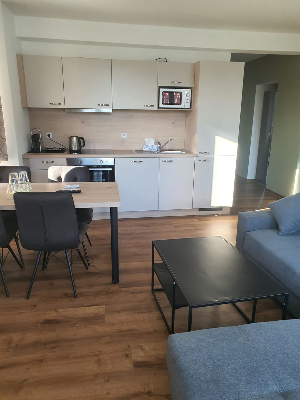 Family Apartment, Balcony | Private kitchen | Fridge, espresso maker, coffee/tea maker, electric kettle