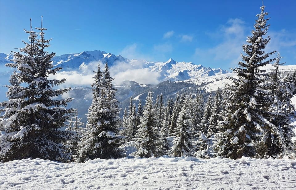 Skiing
