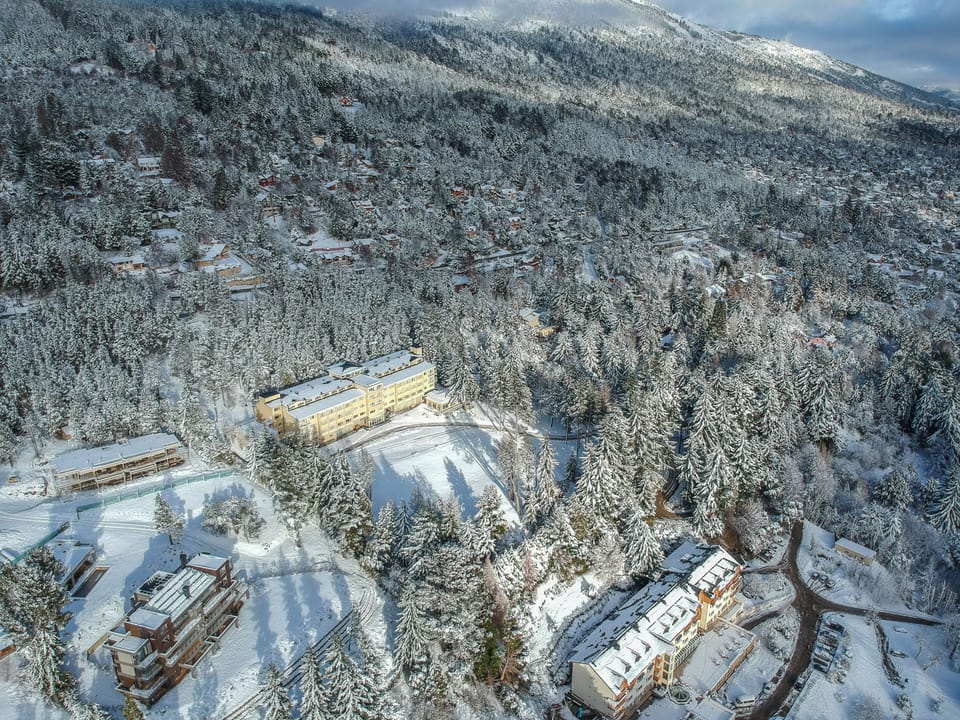 Soak in sweeping mountain views surrounded by snowy evergreens.