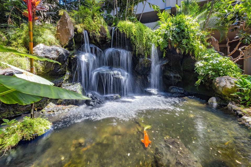 Lobby Entry - Beautiful Koi pond with waterfall.  You can sit, relax and contemplate in this lush environment.