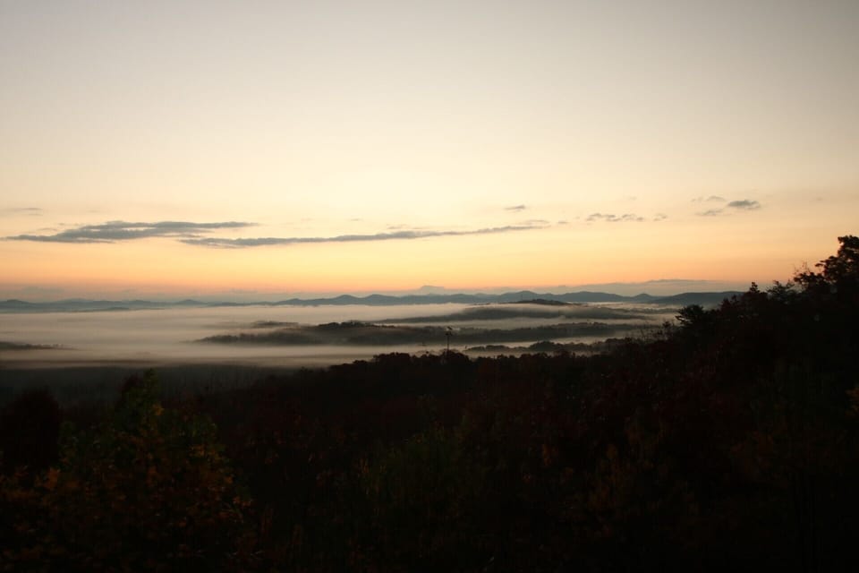 Forever View