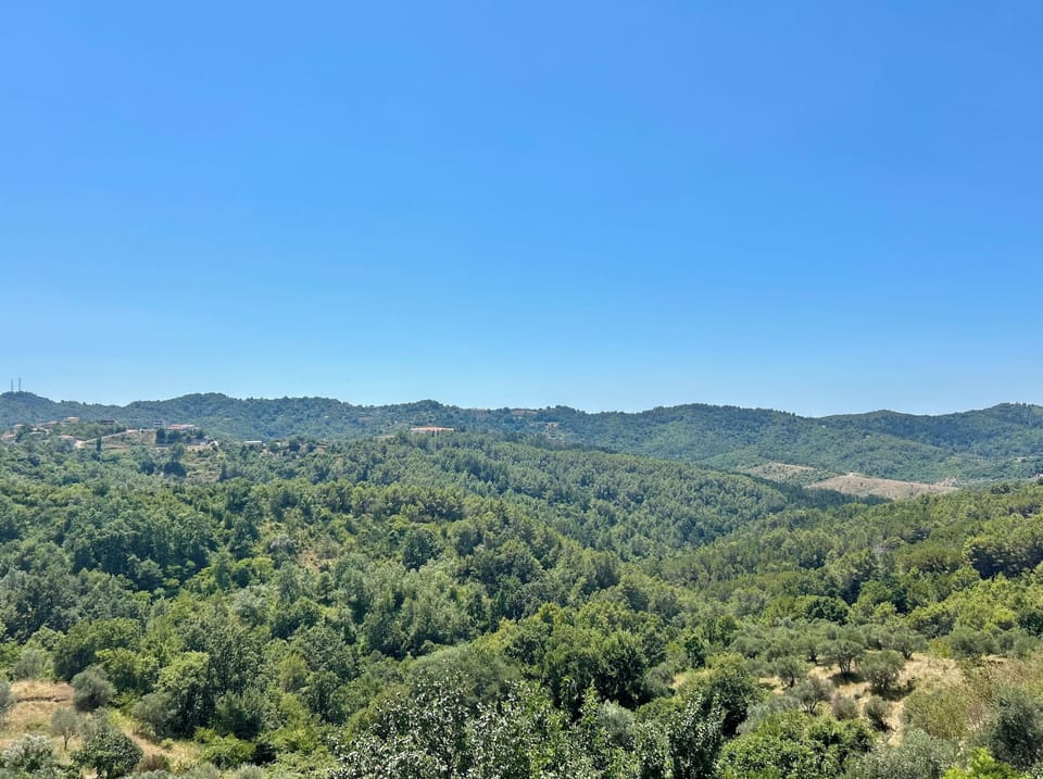 View from room