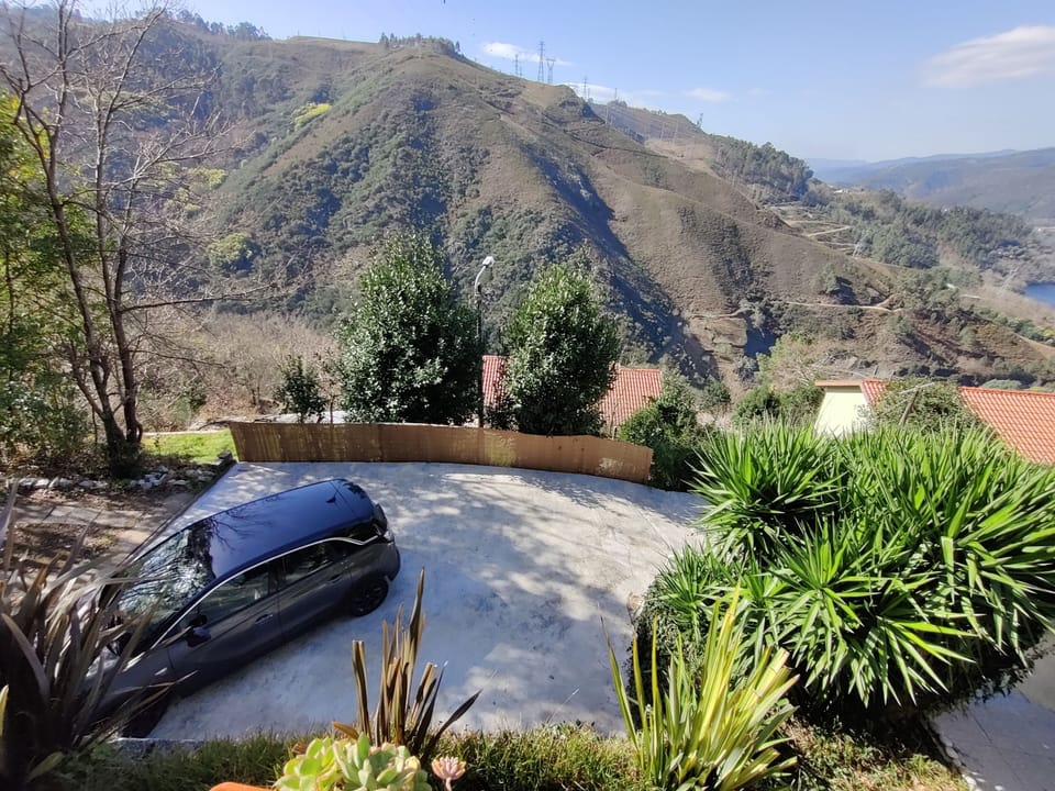 Free self parking