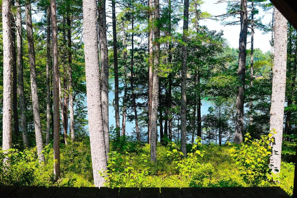 View from property