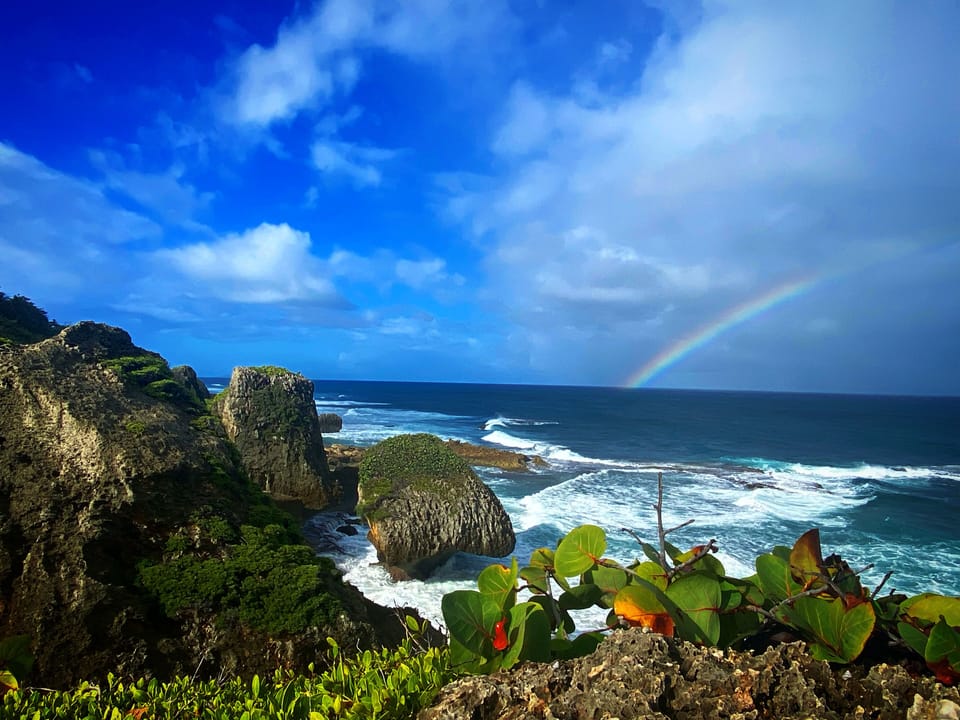 Spectacular view of Survival Beach
