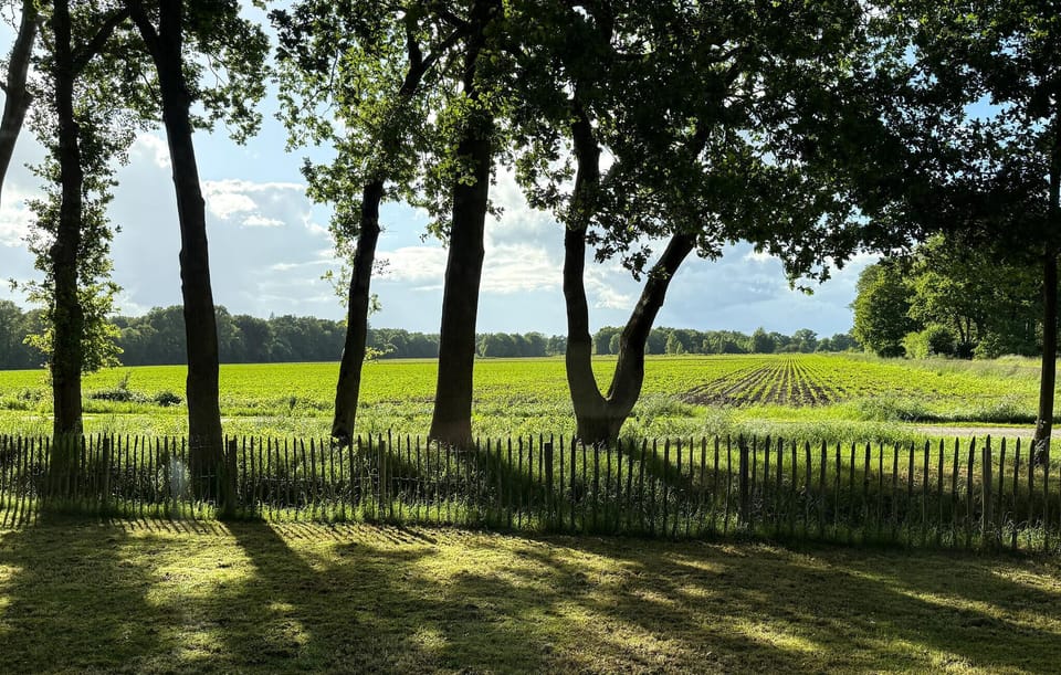 view-from-room