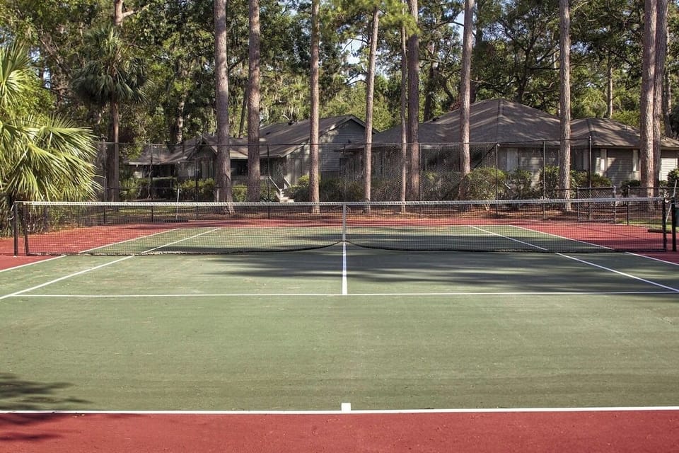 Challenge friends with a full-court view under tall trees.