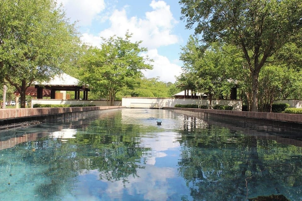 Unwind with a refreshing swim beneath leafy, sunlit skies.