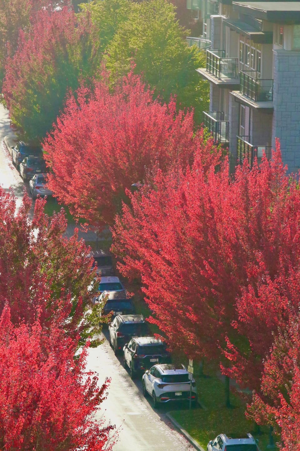 building front-Birney Ave
