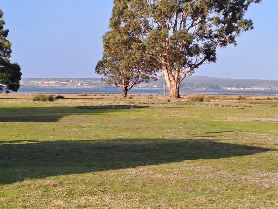 Classic Cabin, River View | View from room