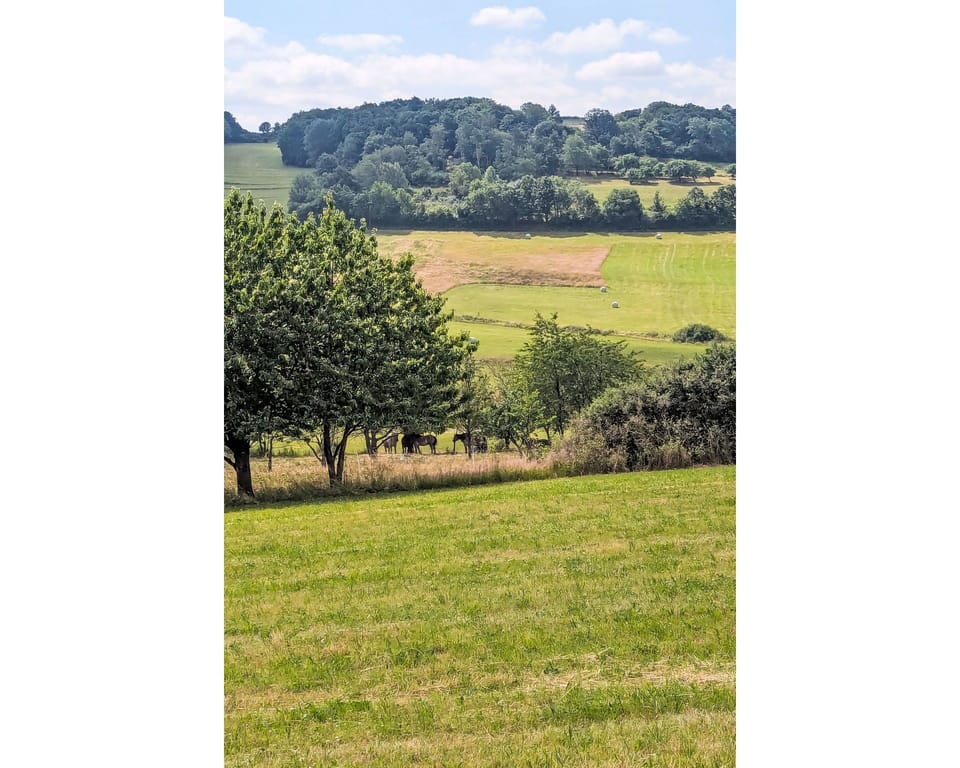 Interior Design, Ceiling, Apartment, Flooring, Furniture, Floor, Room, Lighting, Home, Couch