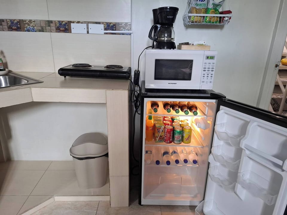Apartment, 1 Bedroom, Balcony | Private kitchen