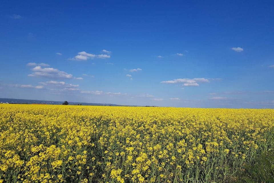 Surroundings [summer] (1-5 km)