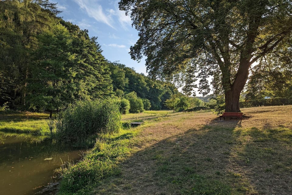 Surroundings [summer] (1-5 km)