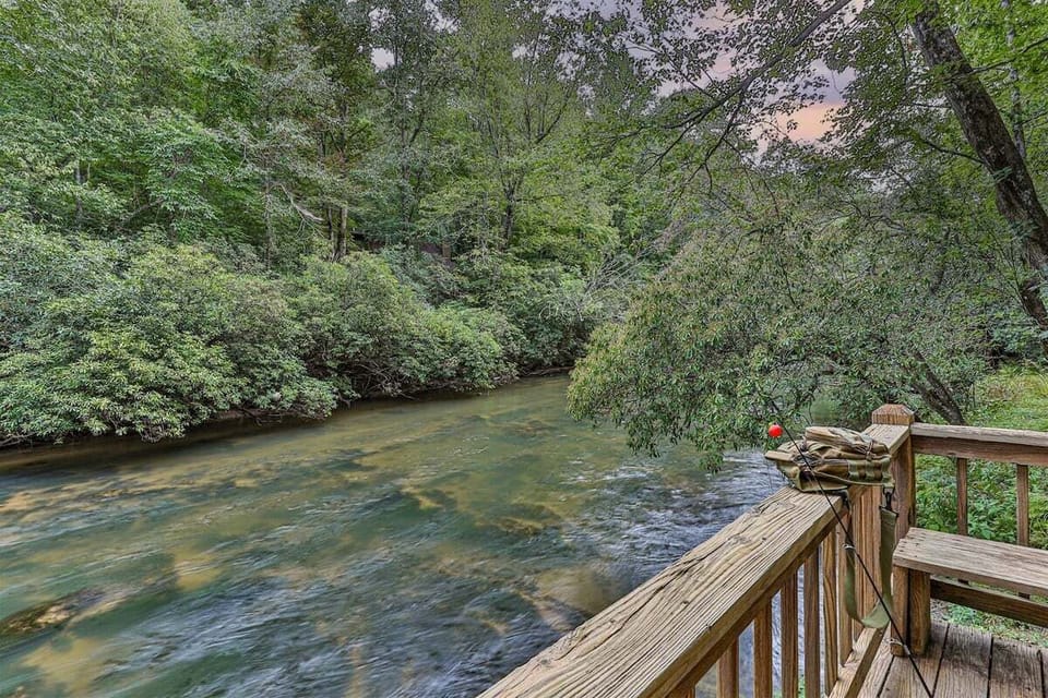 A Fisherman`s Dream Come True