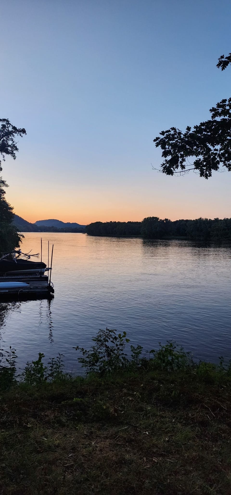 view from backyard by firepit