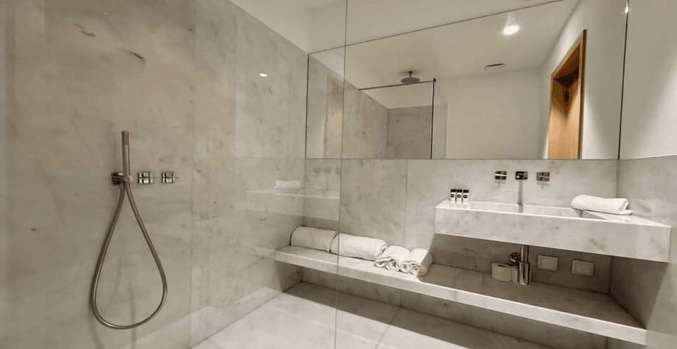 Shower, hair dryer, towels, toilet paper