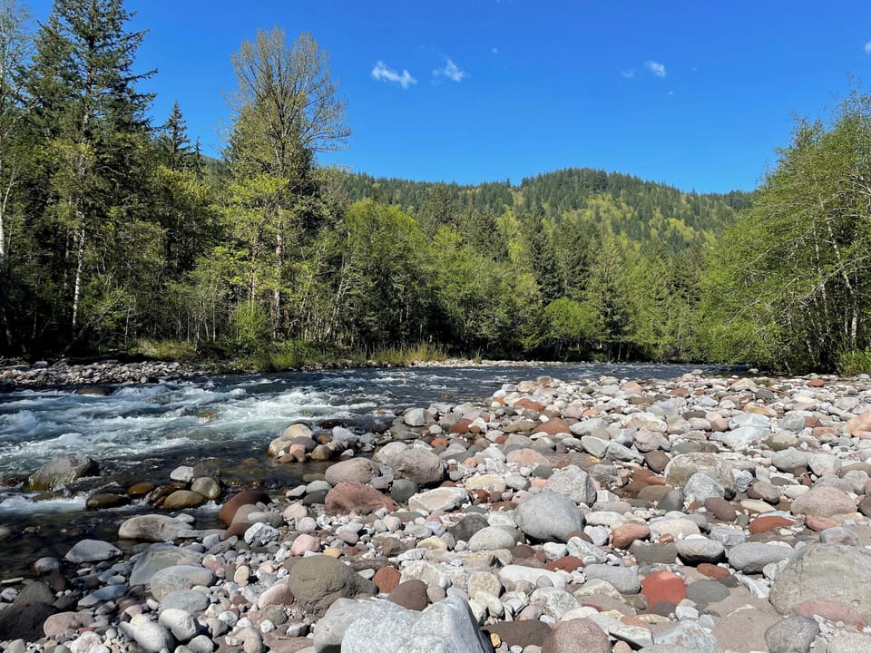 Surprise! Guests love the stroll to the Sandy River. 