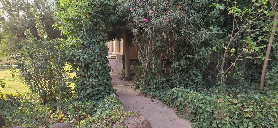 Property grounds