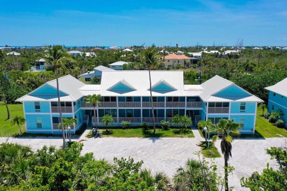 Aerial1