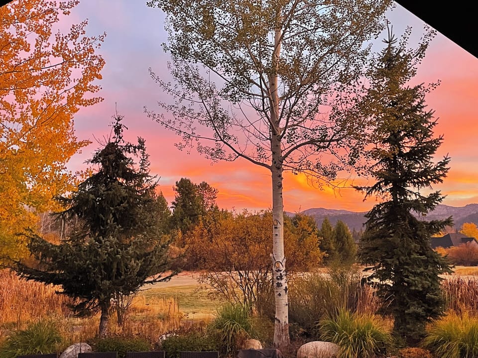 View from property