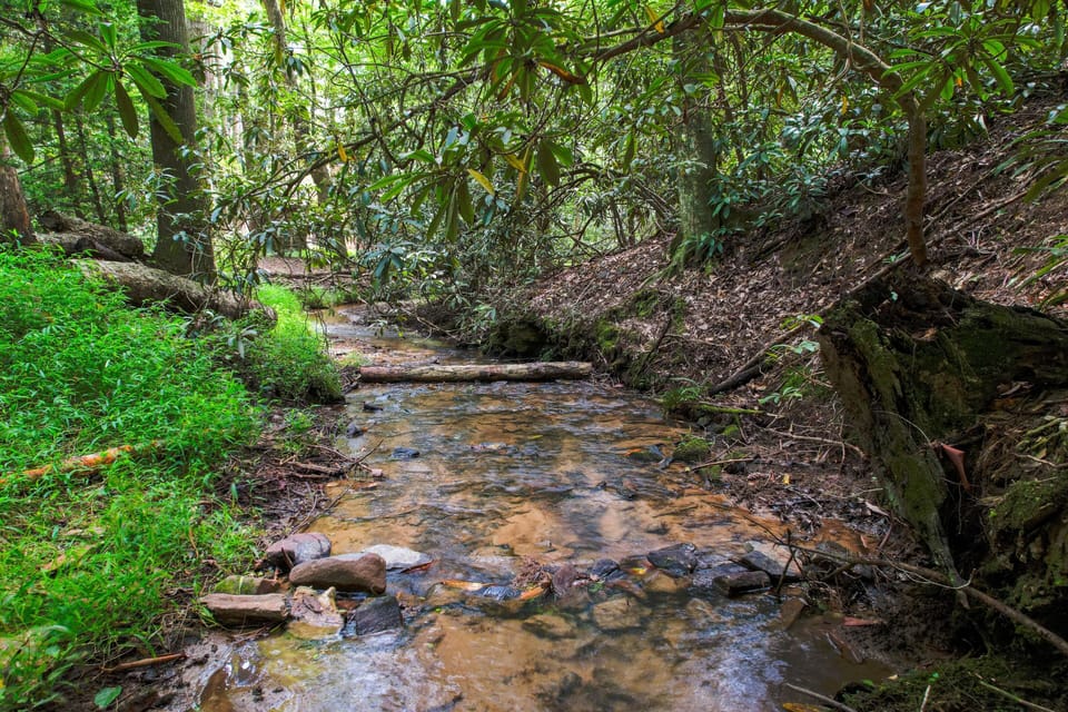 Creekside Paradise