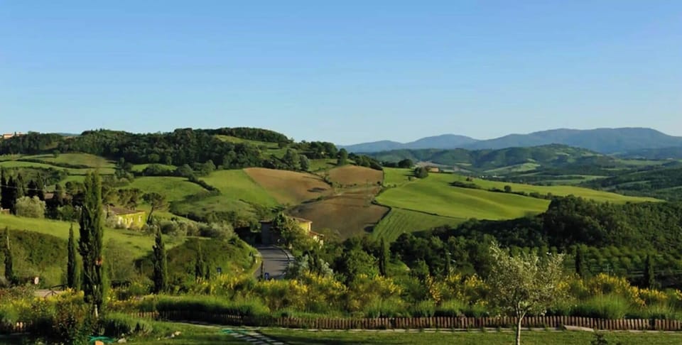 Land view from property