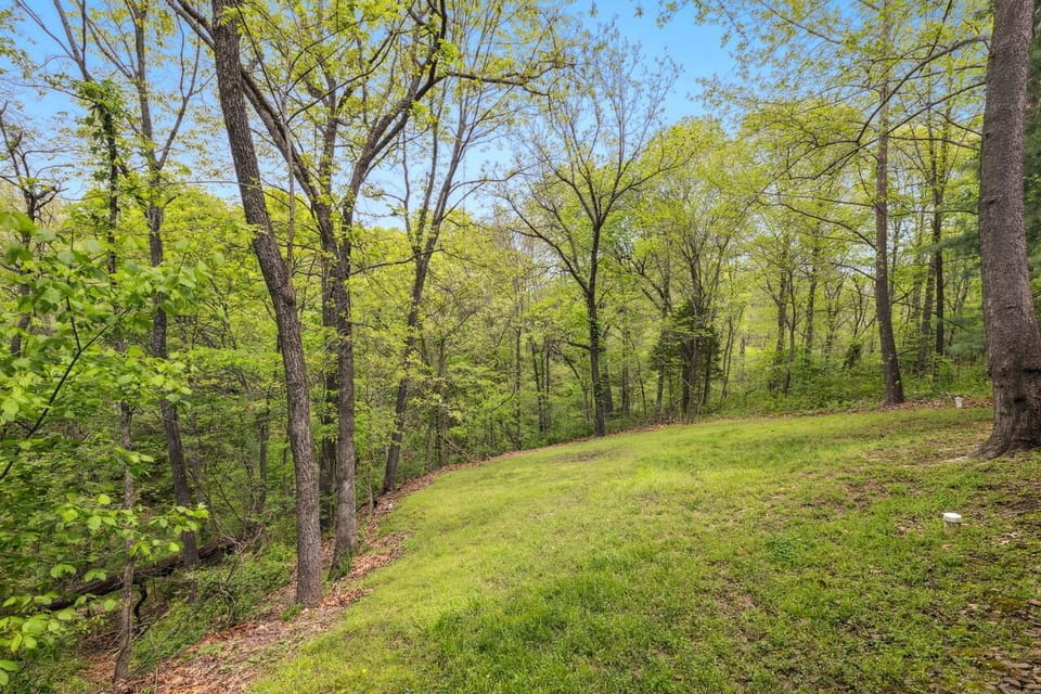 View from Back Deck