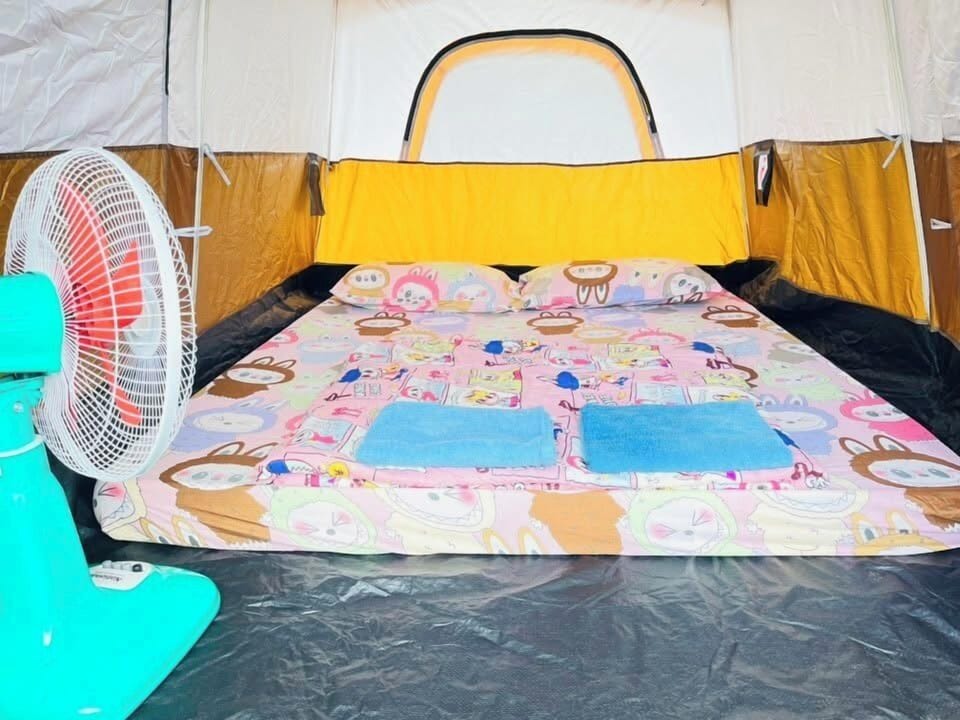 Shower, towels